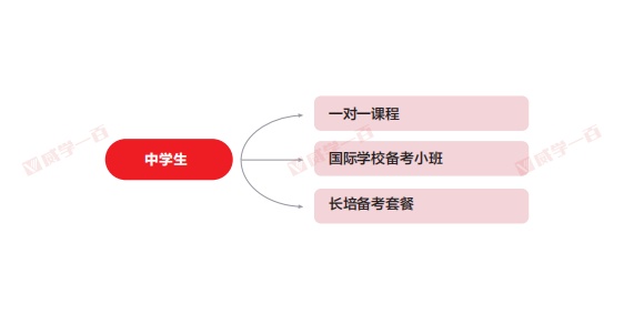 国际学校入学考试课程