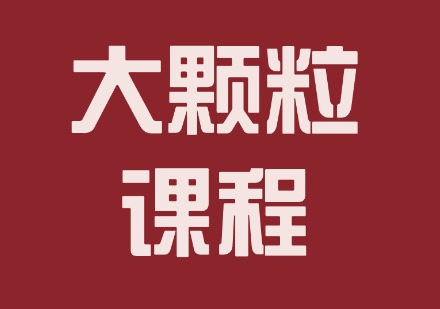 大颗粒课程