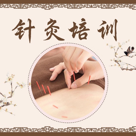 中医针灸课程