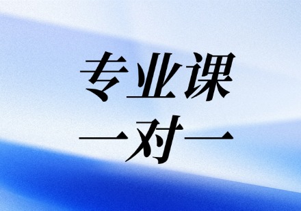 专业课一对一课程