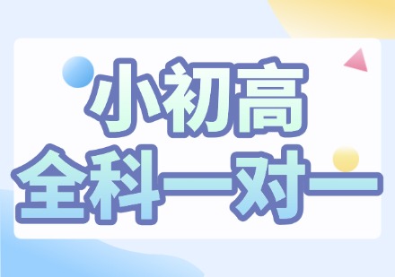 山西小初高全科一对一课程