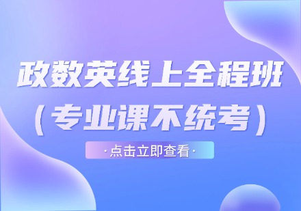 政数英线上全程班