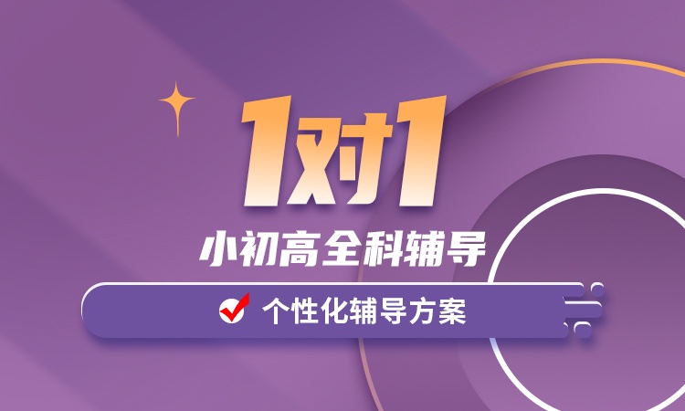 1对1小初高全科辅导