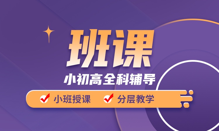 小初高全科班课