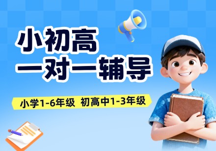 小初高一对一辅导课程