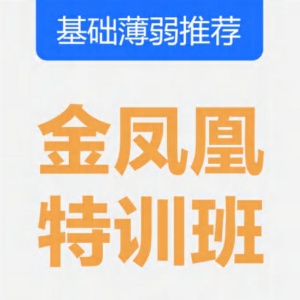 金凤凰特训班