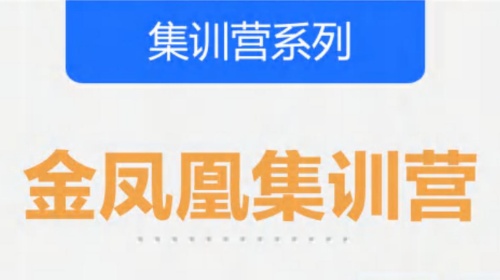 金凤凰集训营