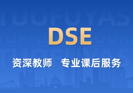 DSE课程