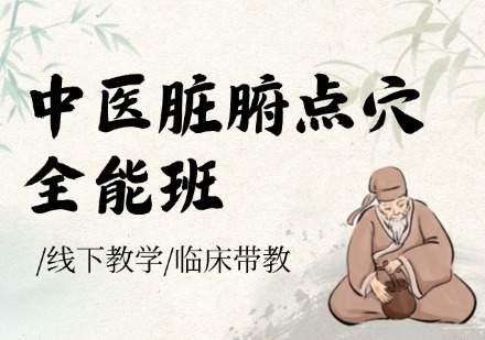 中医脏腑点穴全能班