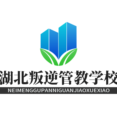 湖北叛逆管教学校