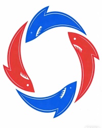 上海酷飞鲨无人机