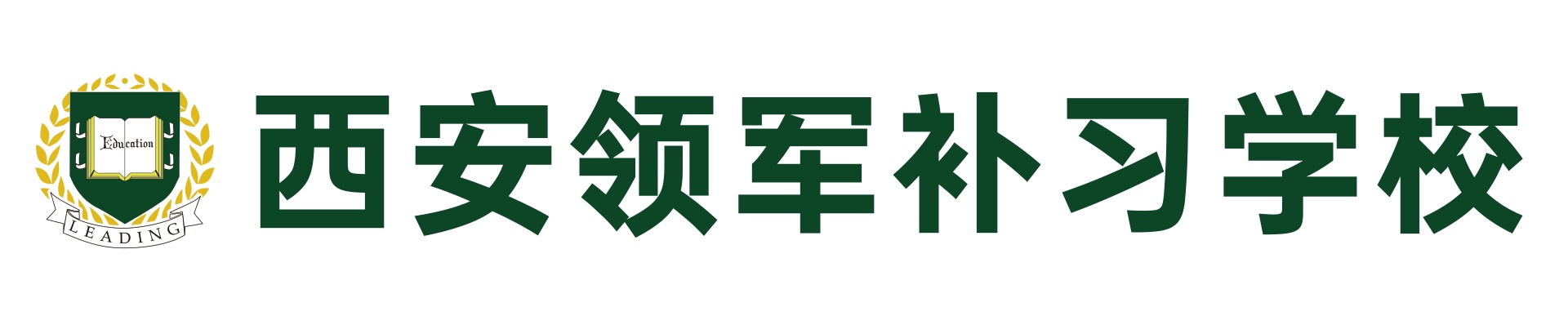 西安领军教育