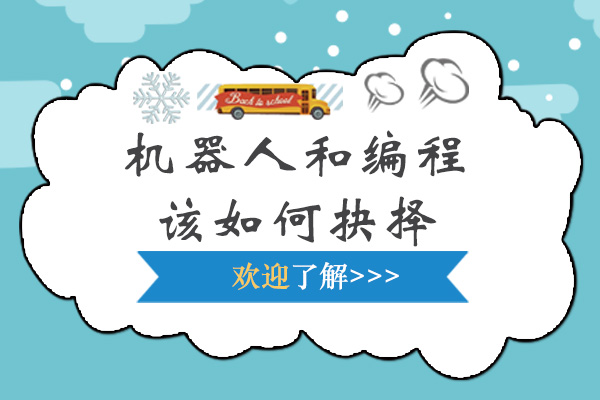 上海机器人与编程如何选