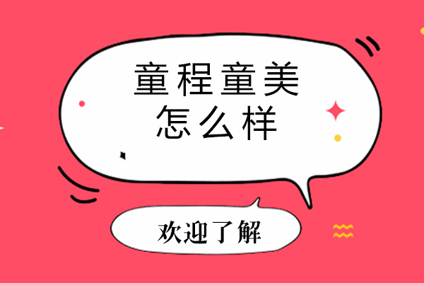 海口童程童美怎么样