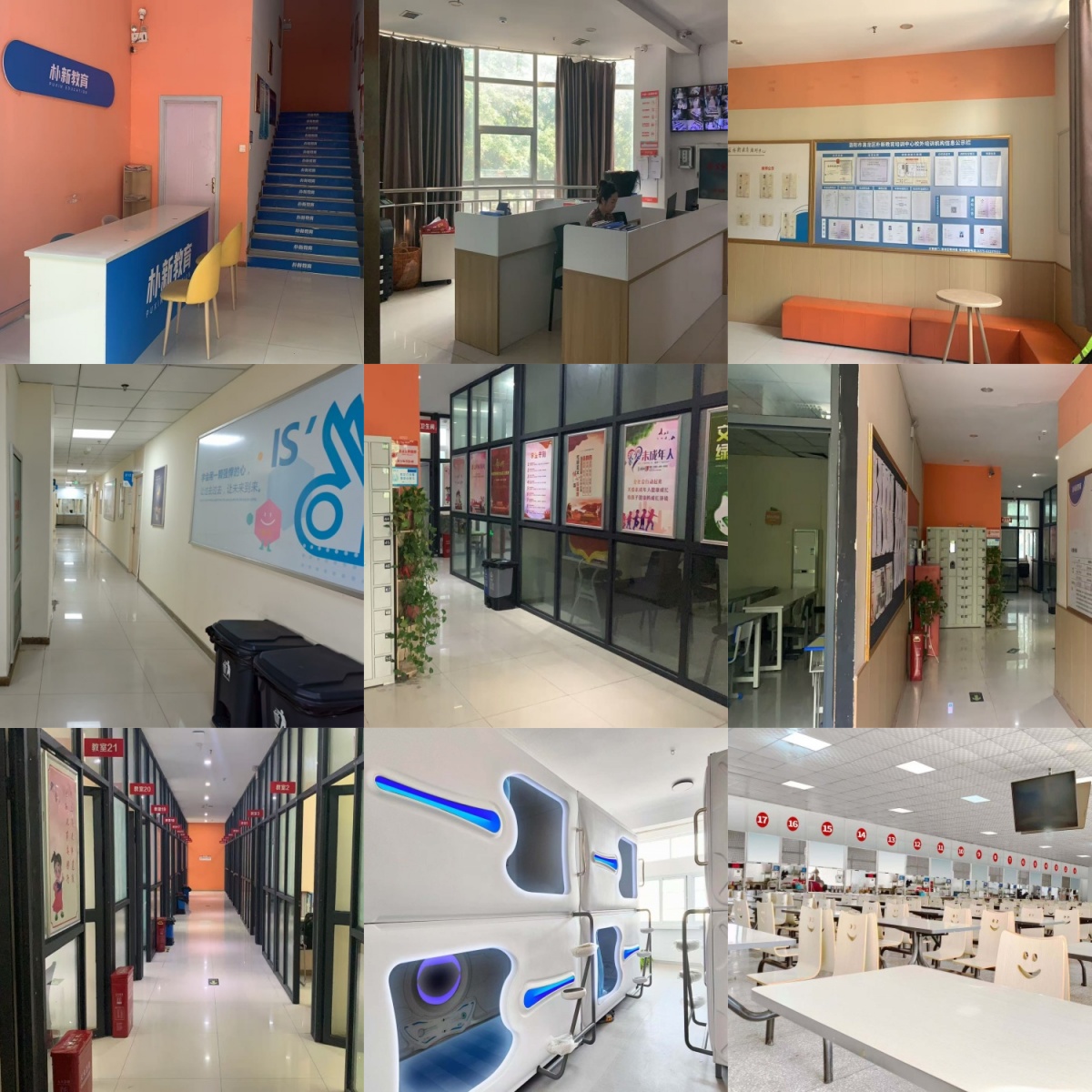 河南省洛阳市10大排名靠前的正规初中文化课辅导学校2025排行一览