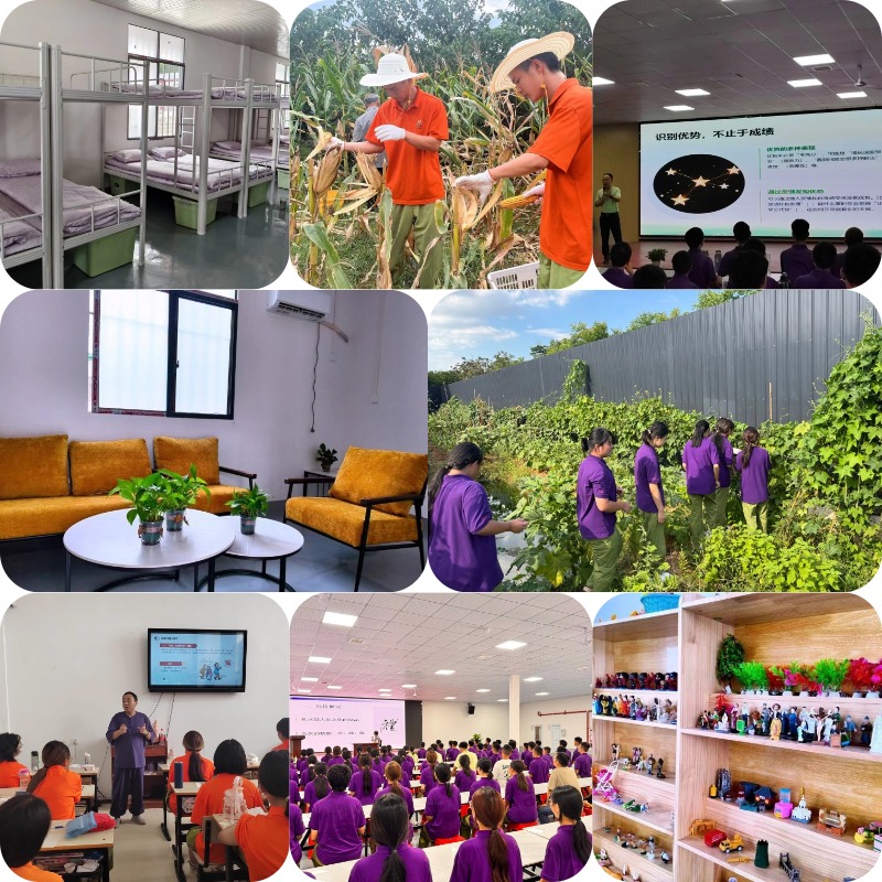 汇总武汉市江夏区十大青春期叛逆戒网瘾学校引导机构实力排行榜