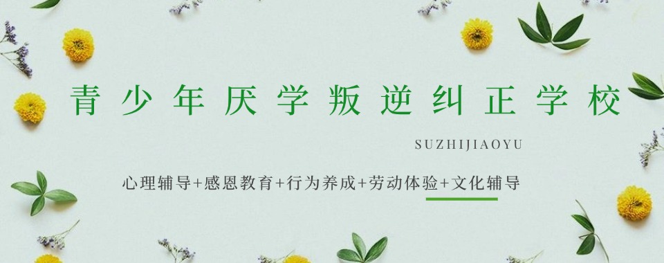 湖北本地十大正规叛逆青少年戒网瘾封闭式管教学校更新