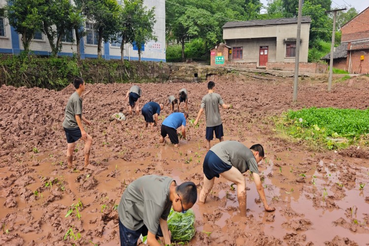 四川叛逆管教学校活动