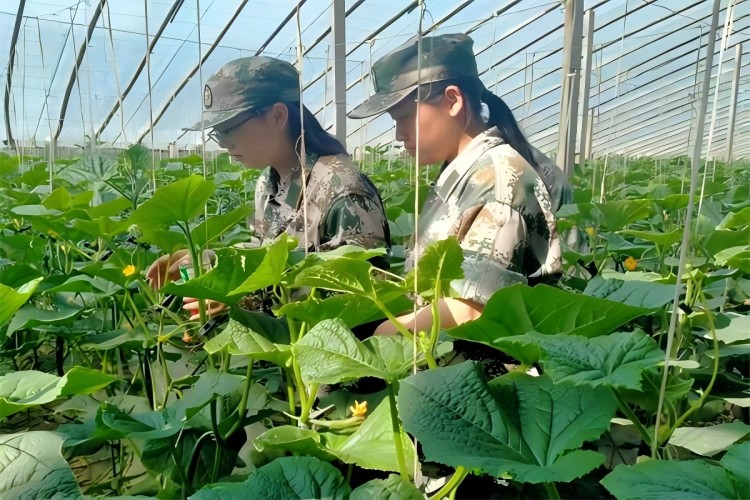 陕西叛逆管教学校