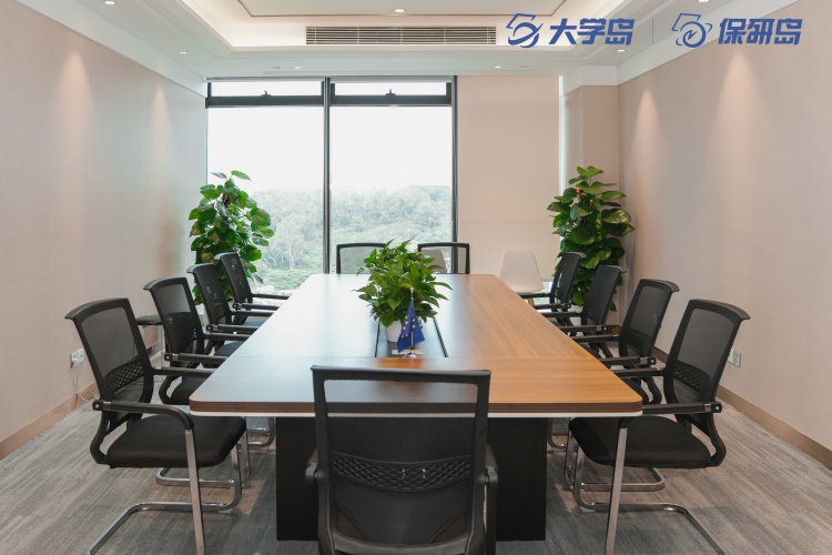 保研岛会议室