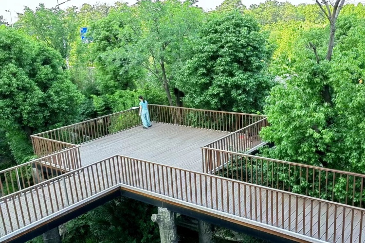 河南新文道考研环境图