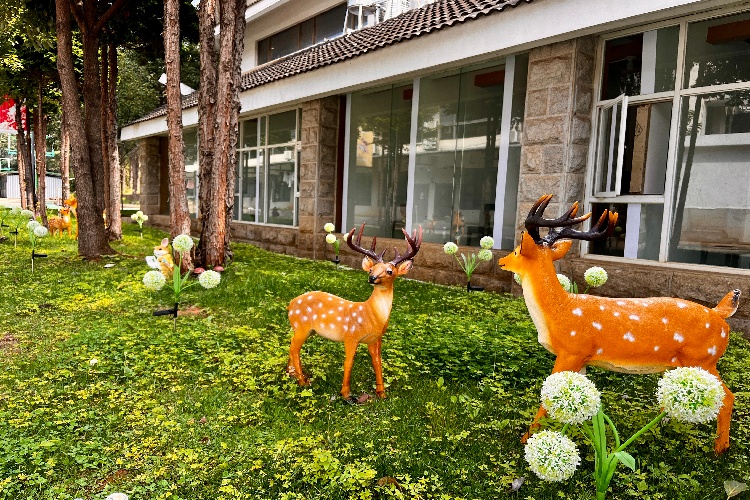 云南新东方全日制培训学校