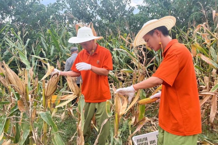 湖北心旅之家成长基地
