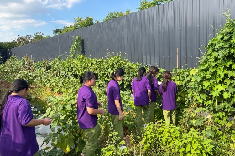 湖北心旅之家成长基地
