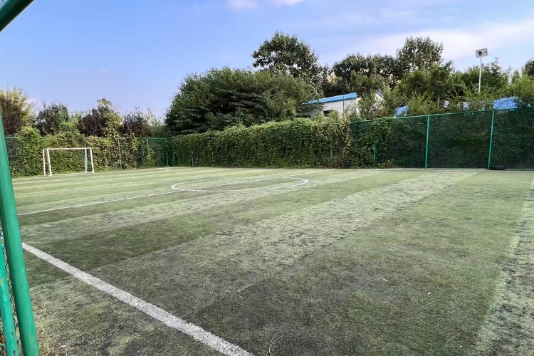 郑州爱德思睿教育环境图