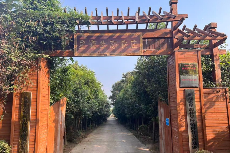 郑州爱德思睿教育环境图