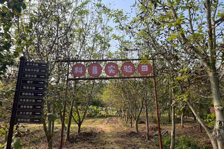 郑州爱德思睿教育环境图