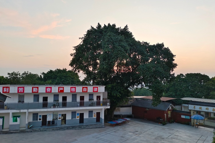 重庆立仁素质教育