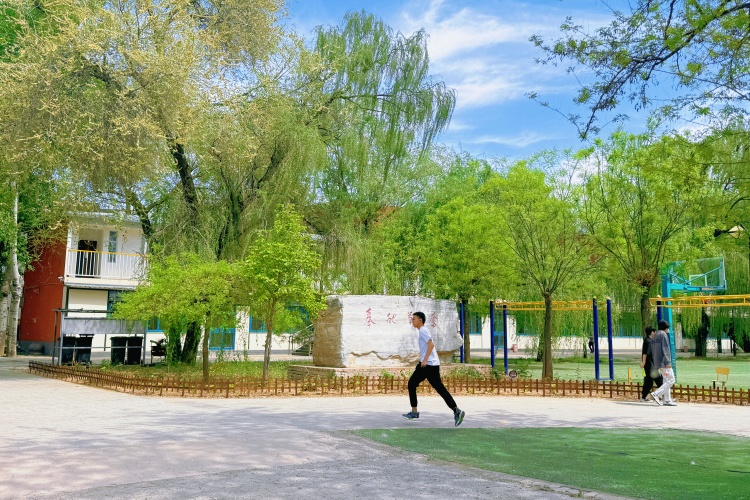 北京北大青鸟