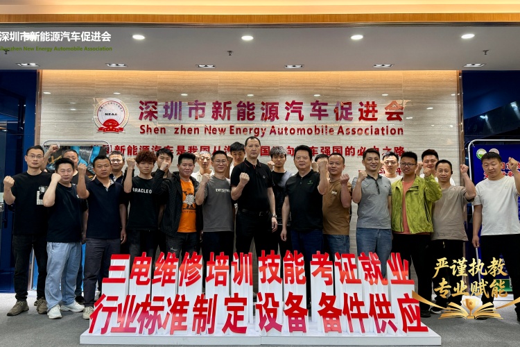 深圳新能源汽车促进会