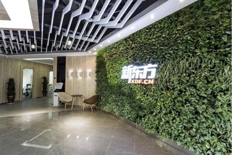 云南新东方全日制培训学校