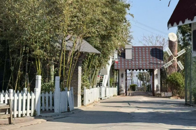 河南阳光心理疏导基地