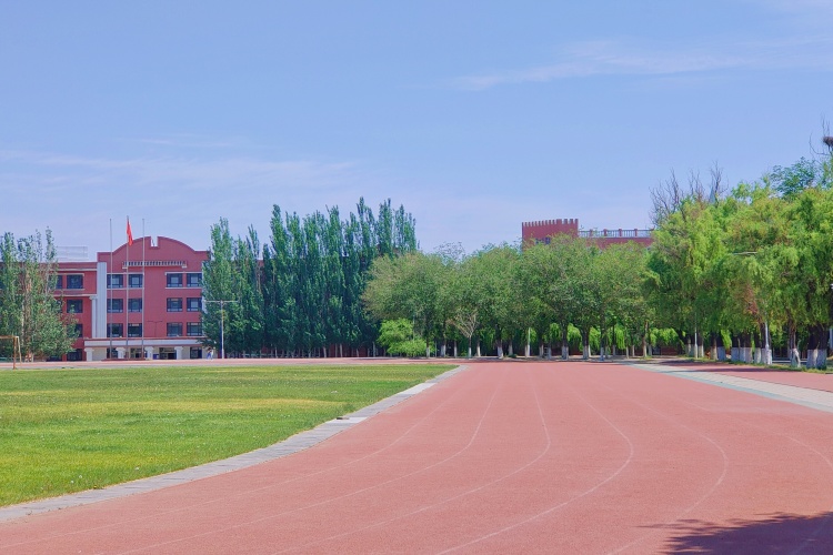 新梦想教育