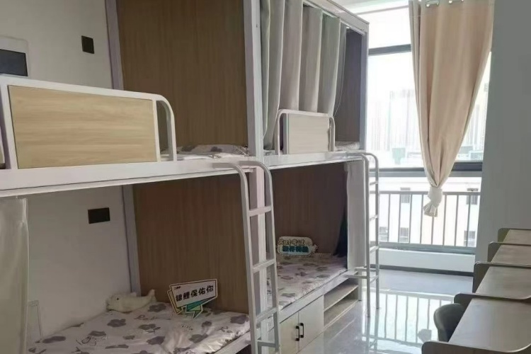 郑州高光公考