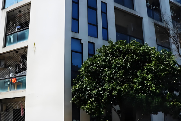 杭州青动力学苑