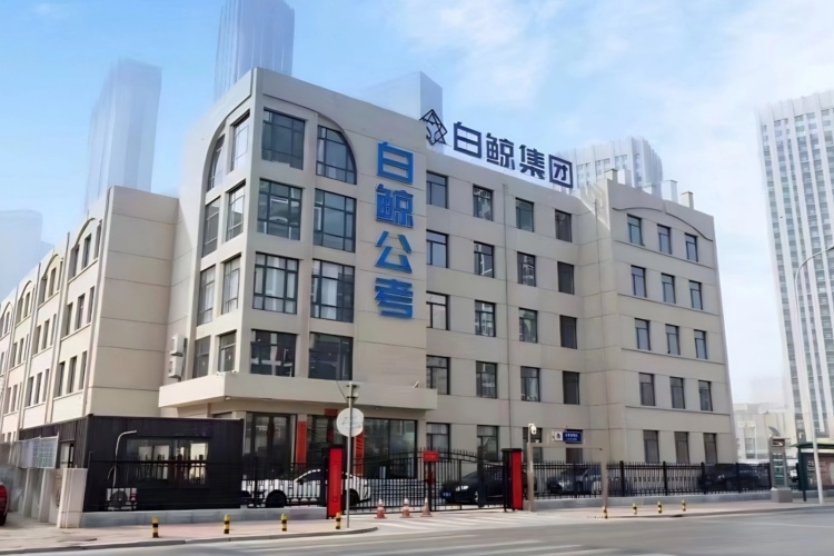 大连白鲸公考